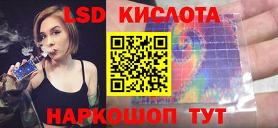 молекула духа Будённовск