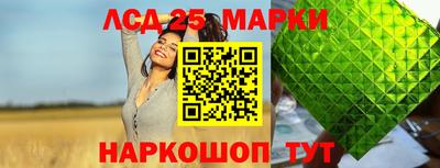 молекула духа Будённовск