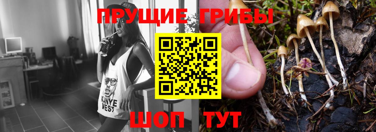 Галлюциногенные грибы ЛСД Артёмовский